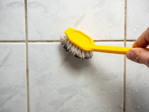 Best Office Mold Removal Services  in Kachina Village, AZ