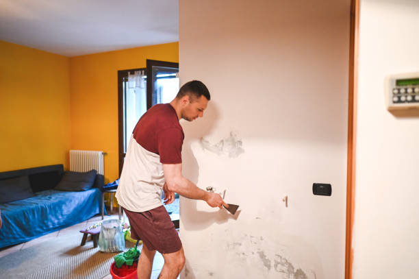 Best Attic Mold Removal  in Kachina Village, AZ